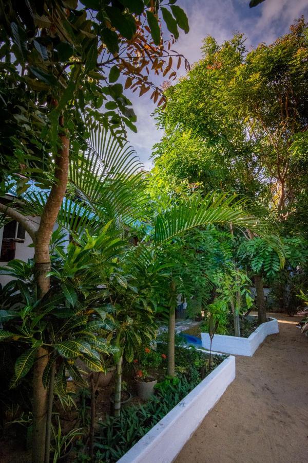 Comfort Beach Hotel آروغام المظهر الخارجي الصورة